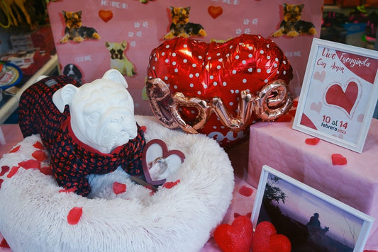 07/2023 LOVE, PASSION & HIGH STANDARDS - Okidogi.store