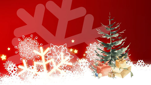 51/2022 Newsletter - Only 4 nights until Christmas! - Okidogi.store