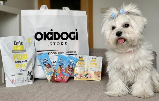 🐾Hello September, Back to routines🐾 - Okidogi.store