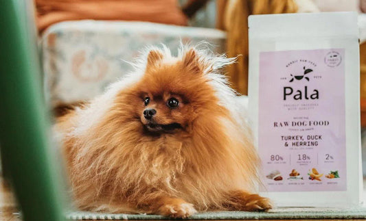 PALA IS THE PRODUCT OF LOVE, PASSION AND HIGH STANDARDS! - Okidogi.store