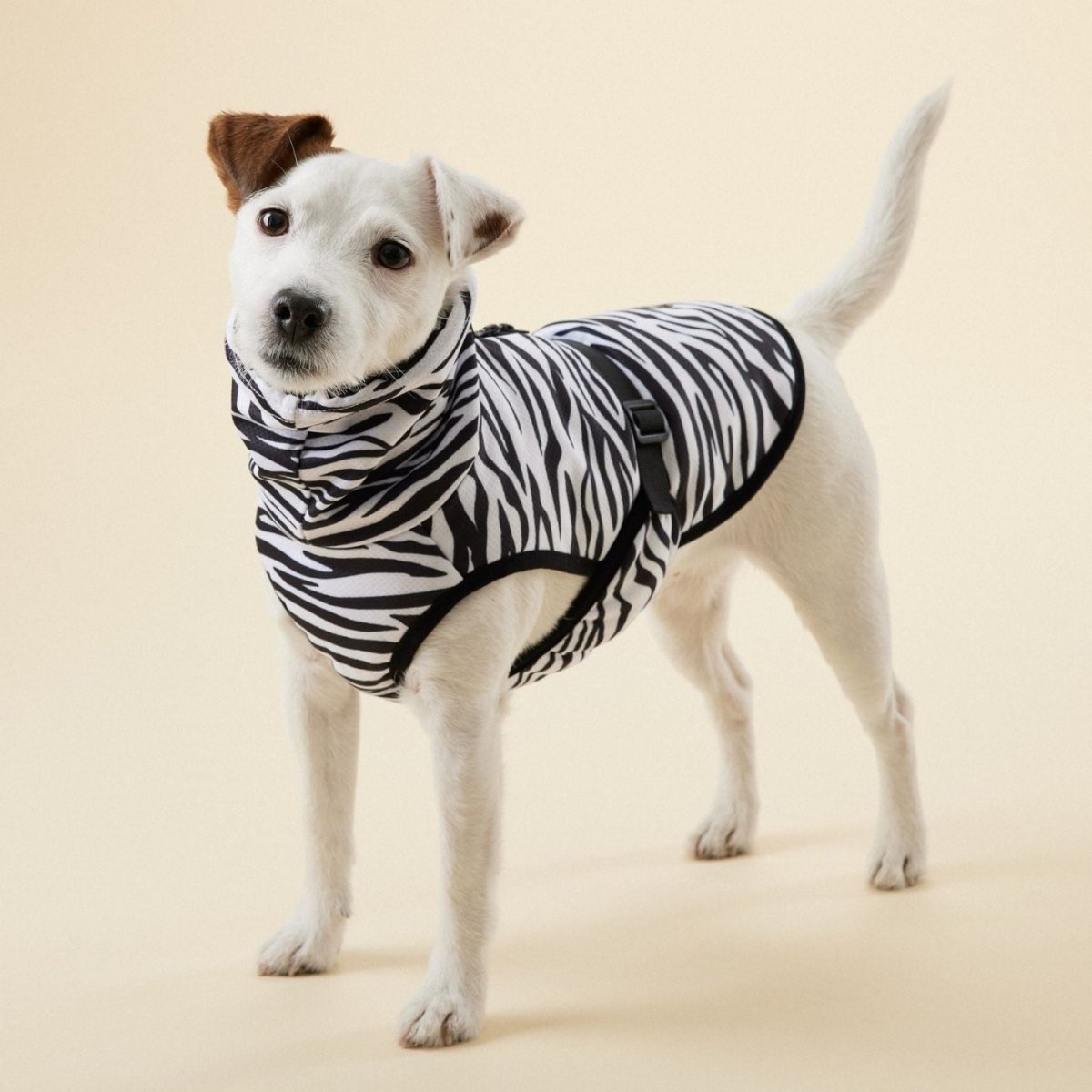 Dog Garments - Okidogi.store