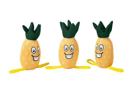 Juguete flotante con chirriador Freedog Pineapple