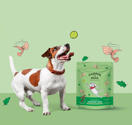 HARPER & BONE Jumping legs Functional Snacks for Dogs – Natural Meaty Sticks for Joints & Mobility (75g)
