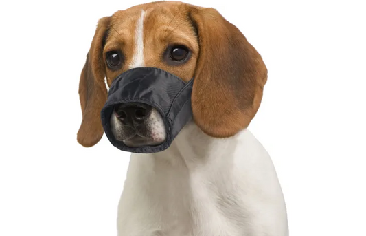 FLAMINGO S-M Dog Muzzle - Adjustable and Quick Fit