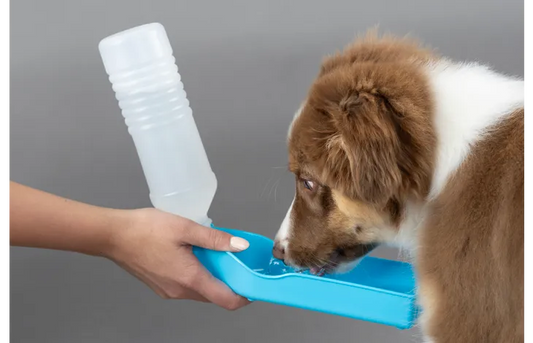FLAMINGO Gulliver Portable Water Dispenser