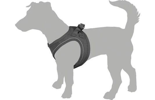 FLAMINGO Step&Go Bento Harness for Dogs