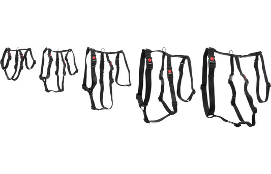 Flamingo Safety Harness Zera Black