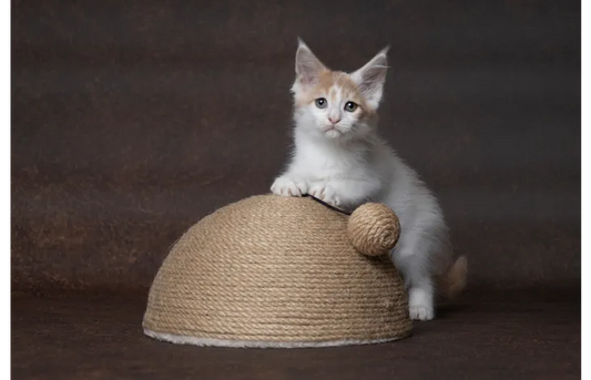 FLAMINGO Scratch Dome for Cats