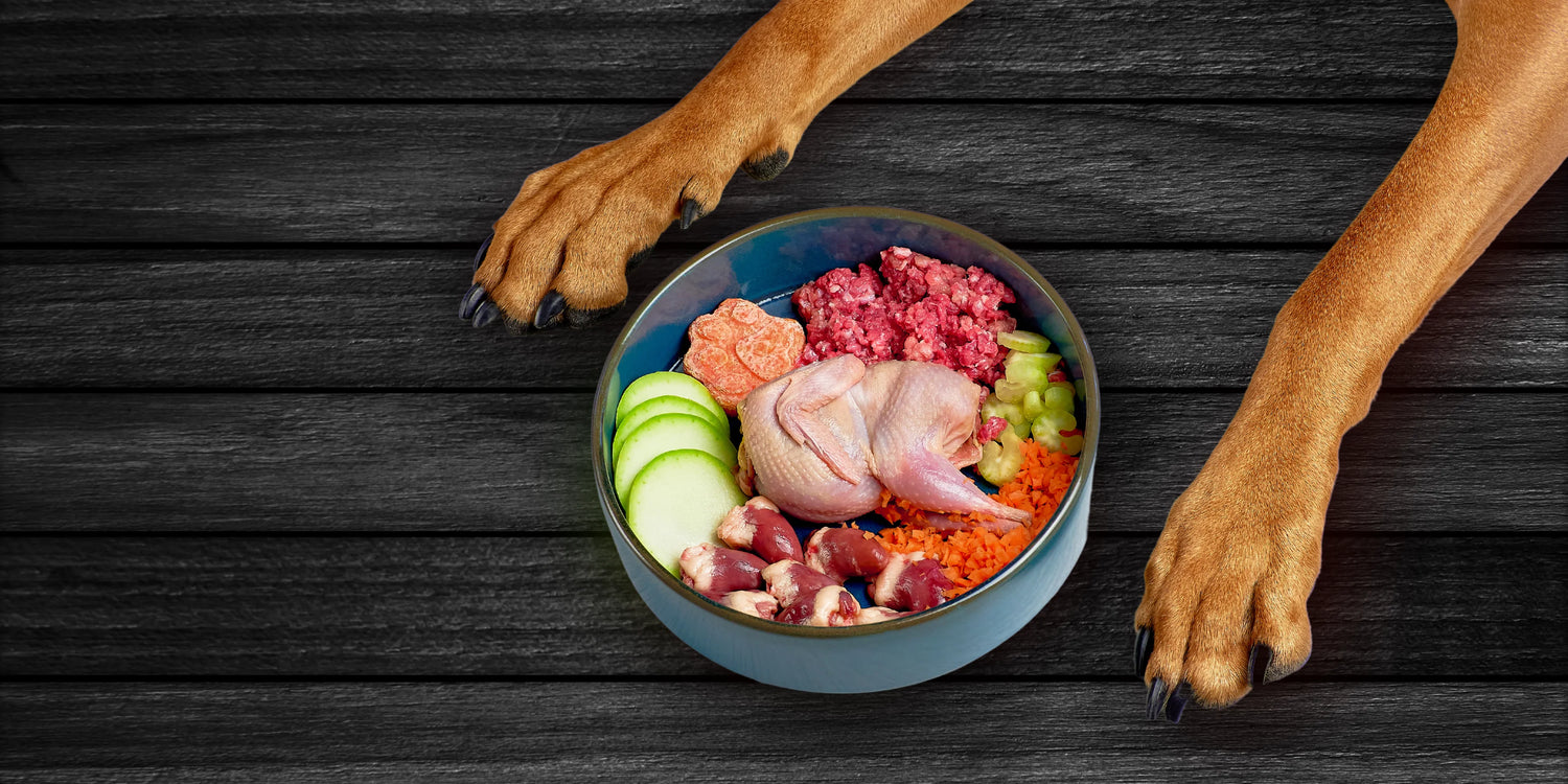 Dog Raw Food