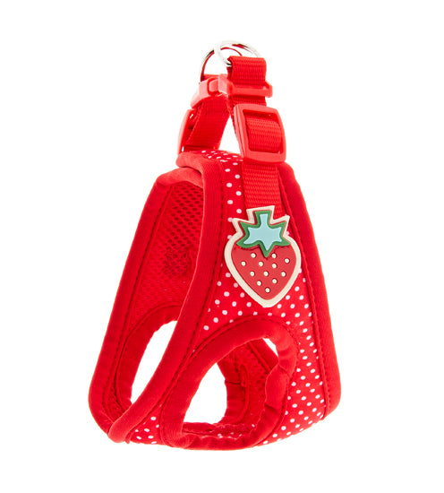 Fruit Design Harness