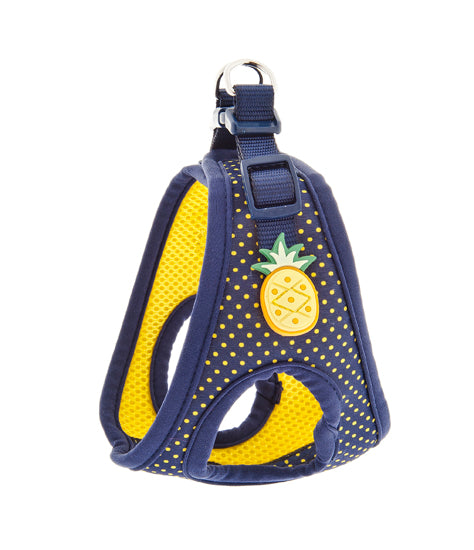 Fruit Design Harness