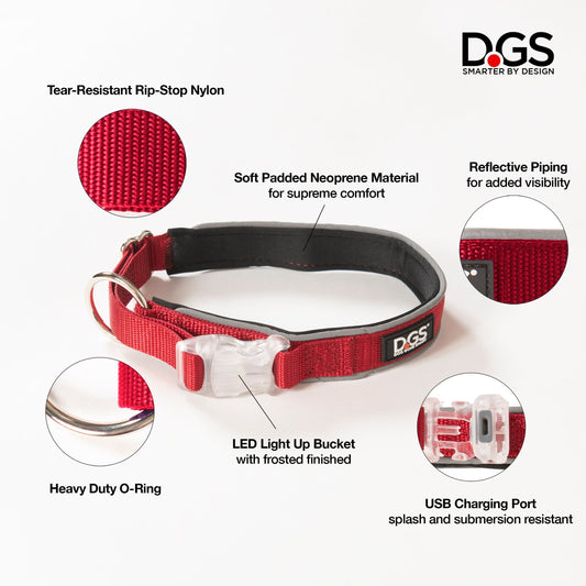 Comet LED Safety Collar - Water resistant and Rechargeable