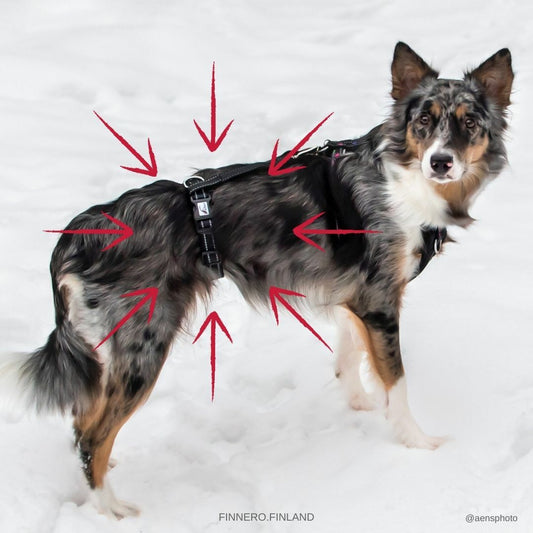 Candado de Cintura de Rescate Finnero