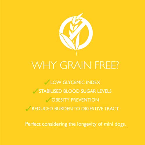 Brit Care Mini, Grain Free, Adult, Lamb - Okidogi.store