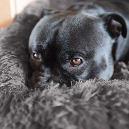 Round Fur Dream Bed - Grey -20%