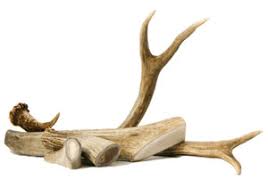 Reindeer Antler bundle 145-155g - Okidogi.store