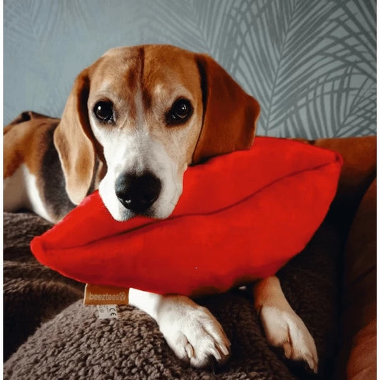 Beeztees Kiss Cushion for Dogs