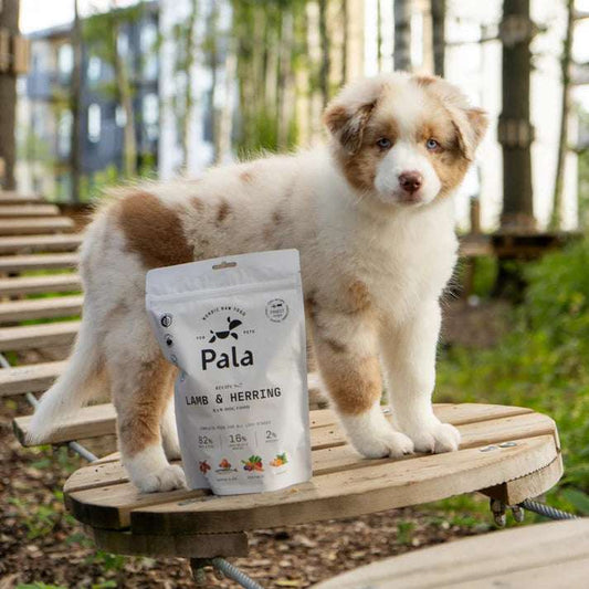 PALA RAW DOG FOOD, Lamb & Herring, 100% Natural Air-Dried Complete Food for Dogs