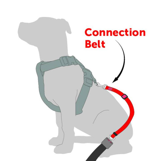 Cinturón de seguridad para coche Flamingo Ruka