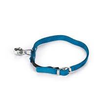 Beeztees Cat Collar - Okidogi.store