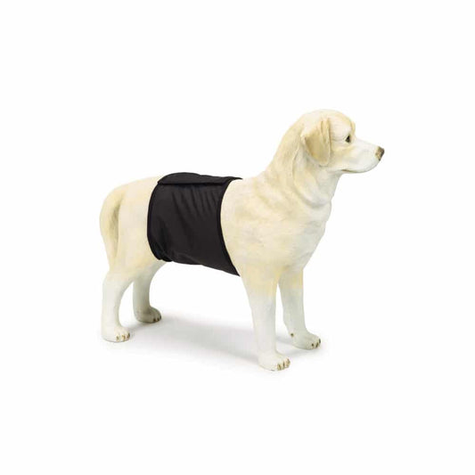 Beeztees Incontinence Band Male Dog Black - Okidogi.store
