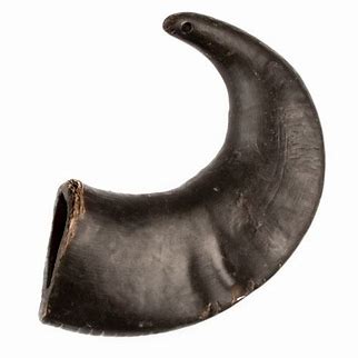 Cuerno De Buffalo