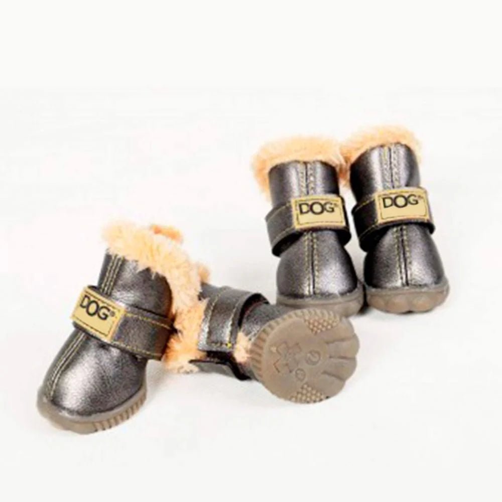 Dog boots online in store