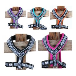 Finnero Ocean Sport Y-Harness - Okidogi.store