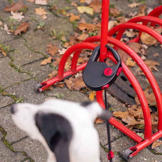 Fuxi Multifunctional Roll Leash - Okidogi.store