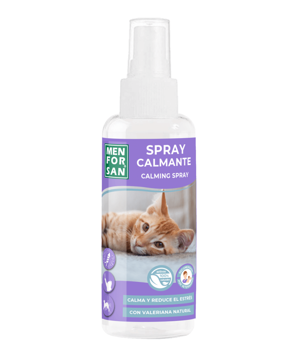 Cat best sale relaxing spray