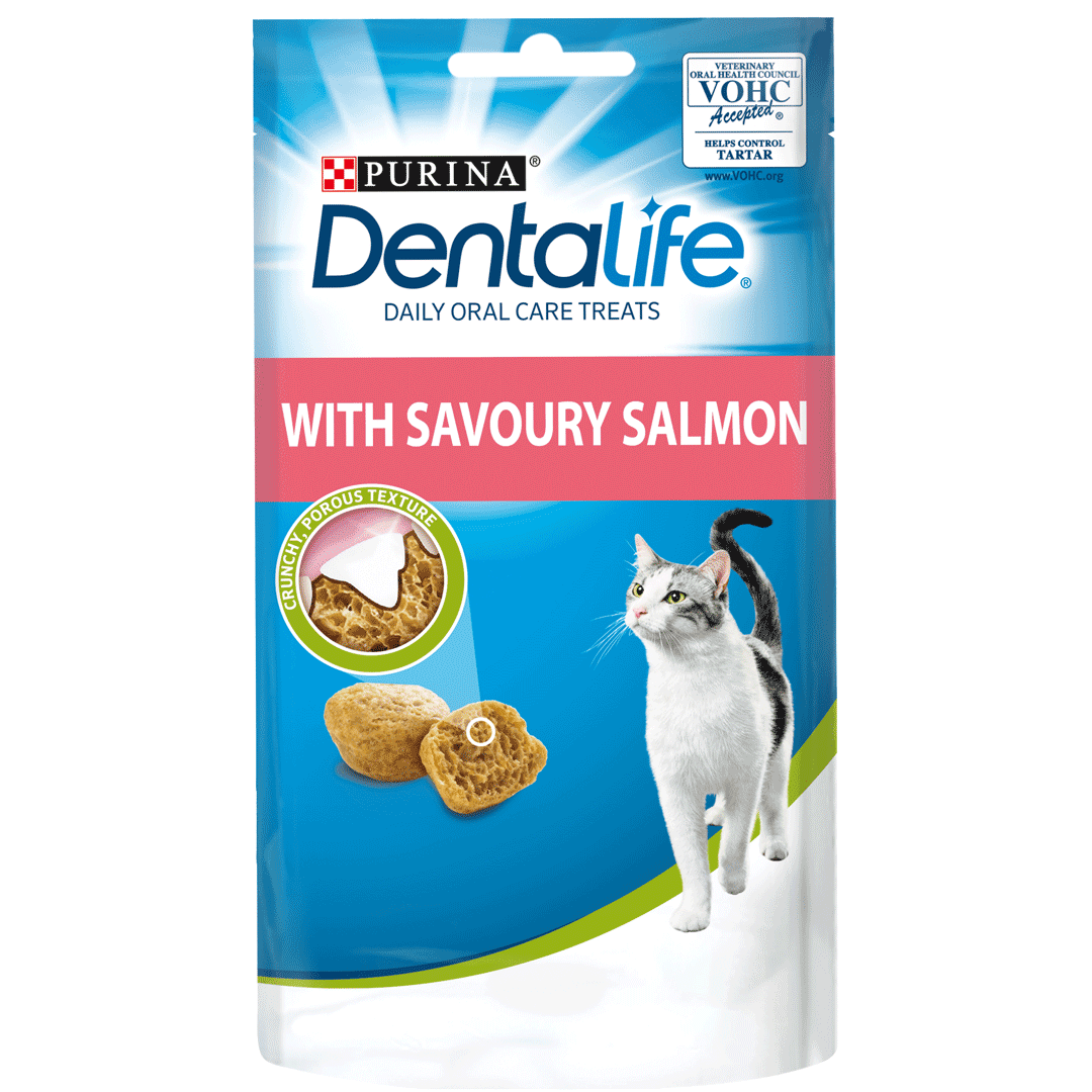 Purina Denta Life with Savoury Salmon Okidogi.store