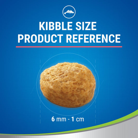 Purina Denta Life with Savoury Salmon - Okidogi.store