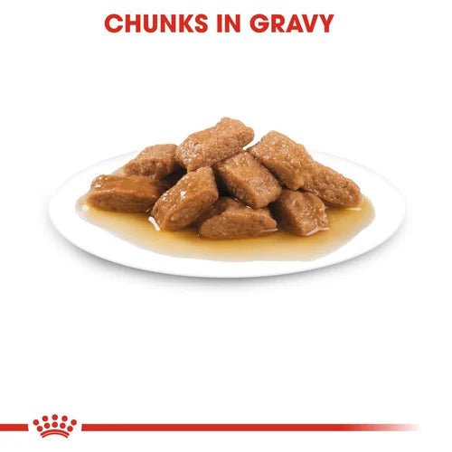 Royal Canin Medium Adult, Chunks In Gravy 140g - Okidogi.store