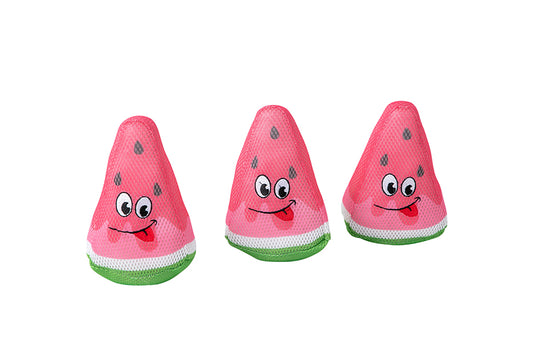 Freedog Watermelon Floating Toy