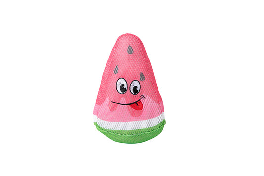 Freedog Watermelon Floating Toy