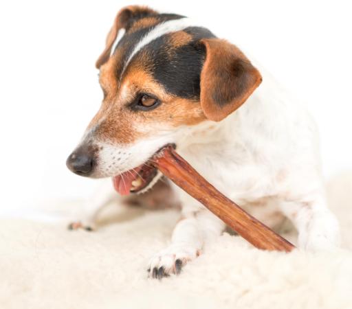 Bully Stick - Golosina de Nervio de Buey para Perros | Masticable Natural de Larga Duración