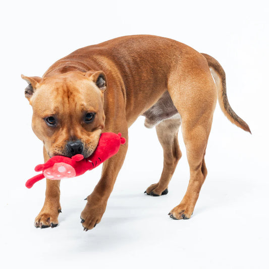 FuzzYard Pepper-Toni Plush Dog Toy (22 cm)