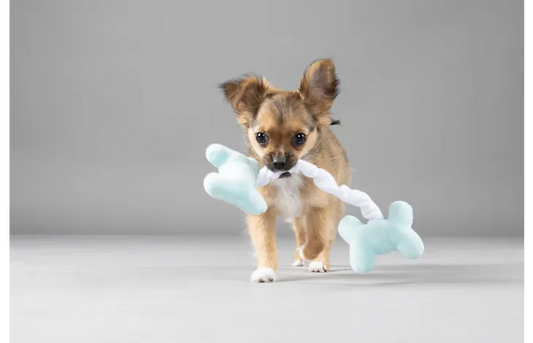 Flamingo Plush Puppy Toy with Two Bones