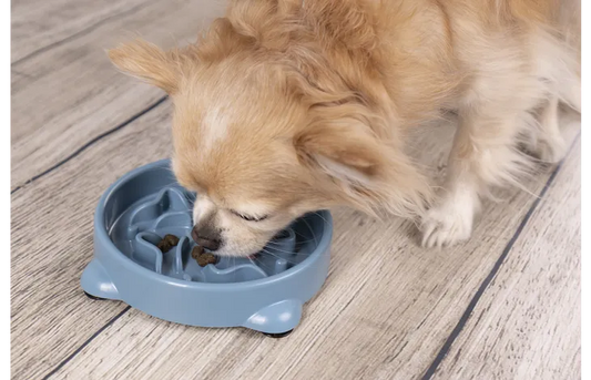 FLAMINGO Beno Slow Feeder for Dogs (300/800ml)
