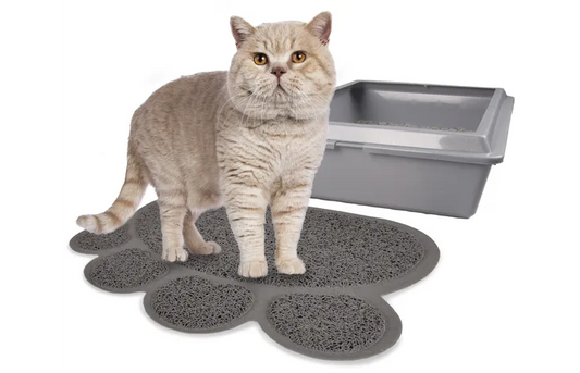 BUBIMEX Paw Litter Mat for Cats