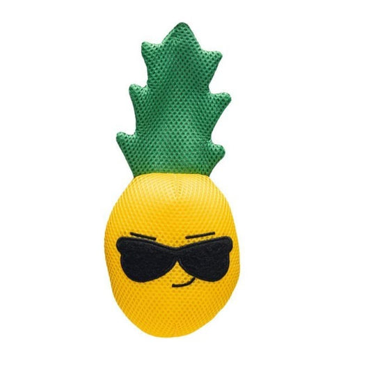 Beeztees Dog Fun Floating Toy Pineapple