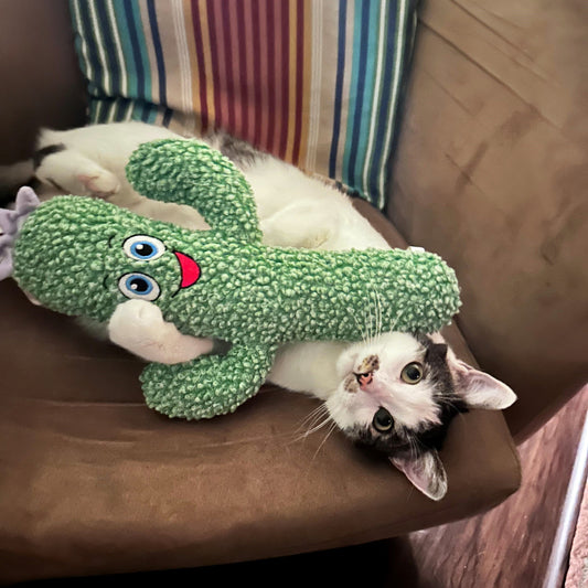KONG Kickeroo Cactus Toy with Catnip for Cats