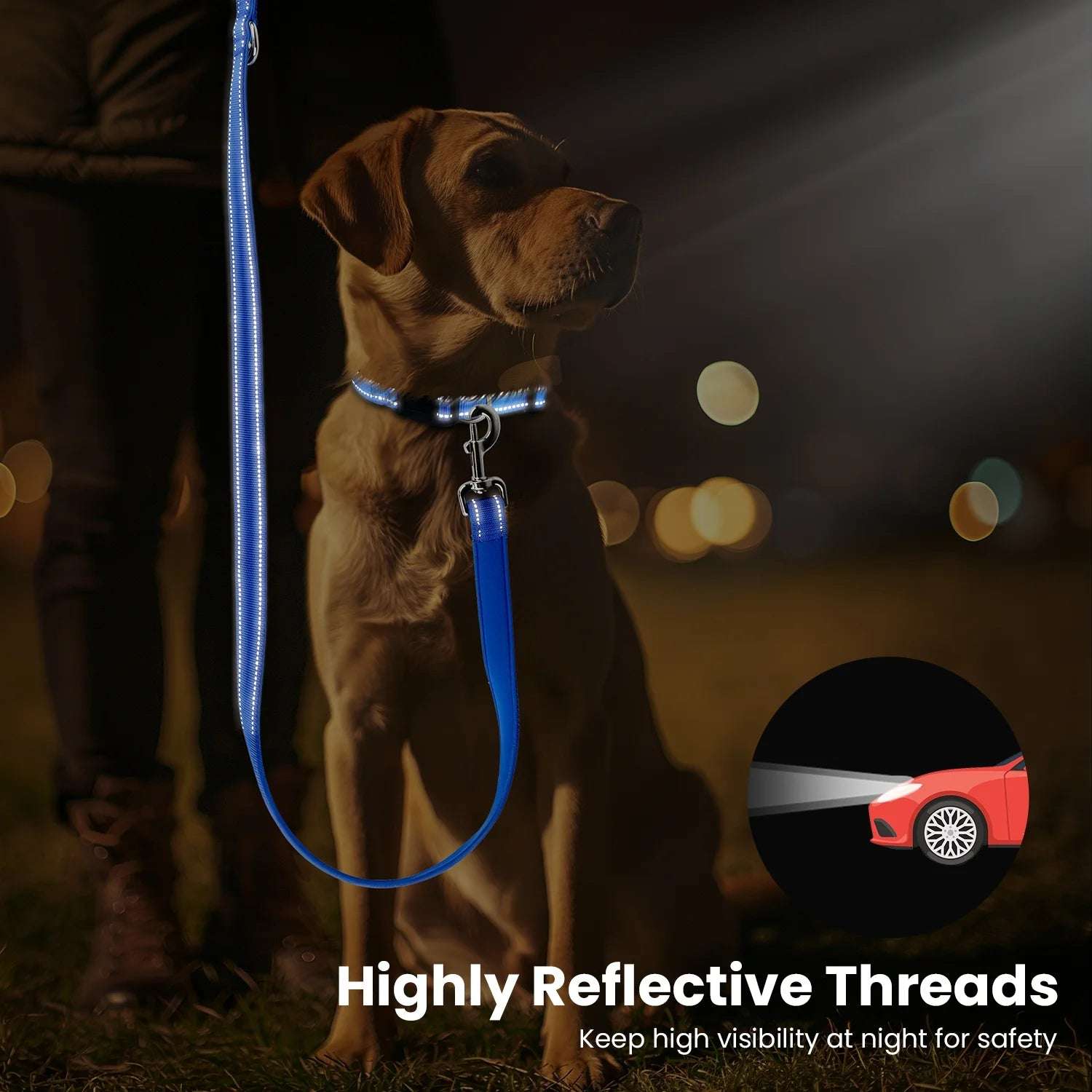 Rogz Utility Classic Lead – Durable Reflective Dog Leash with Waste Bag Holder