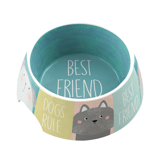 Best Friends Forever Bowl for Cats and Dogs