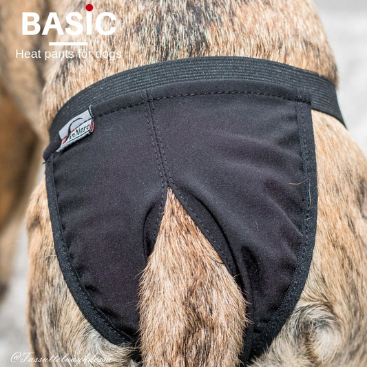 Finnero Basic Heat Pants