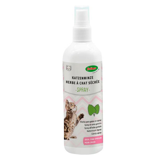 Bubimex Catnip Spray - 150ml