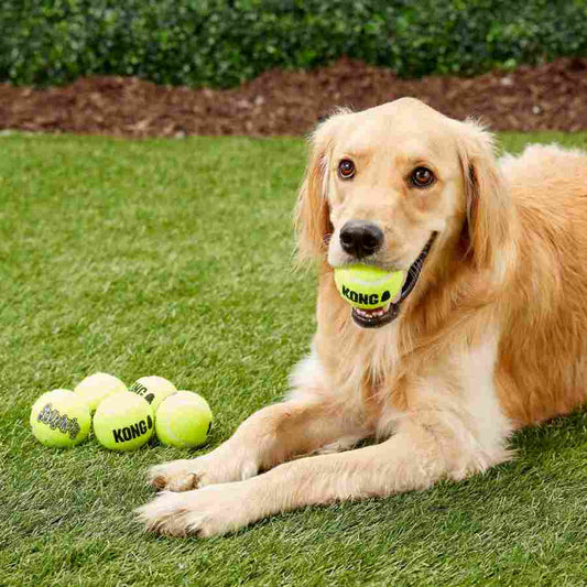 KONG Squeakair Dog Toy – Squeaky Tennis Ball for Endless Play - Okidogi.store