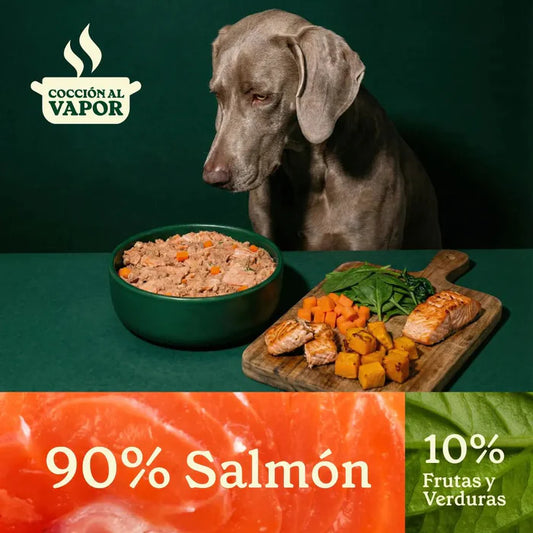 Wild Balance Cooked Salmon with Vegetables Food for Dogs - 400g