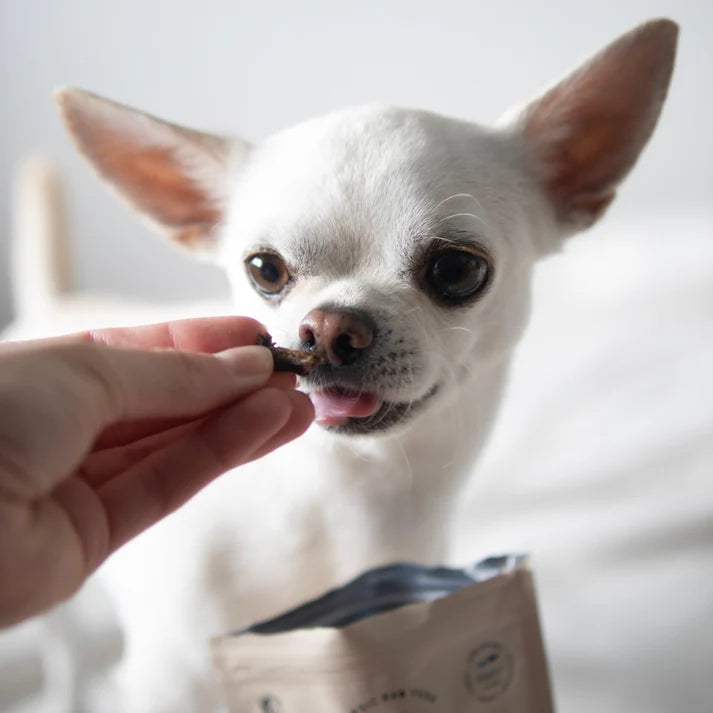 Dog Dry Food - For Special Needs