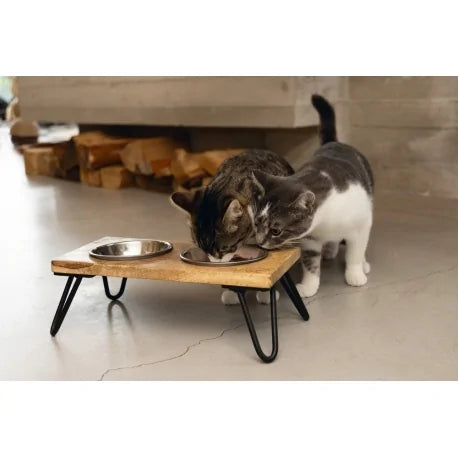 DESIGNED BY LOTTE Elevated Feeder for Cats (2x160ml)